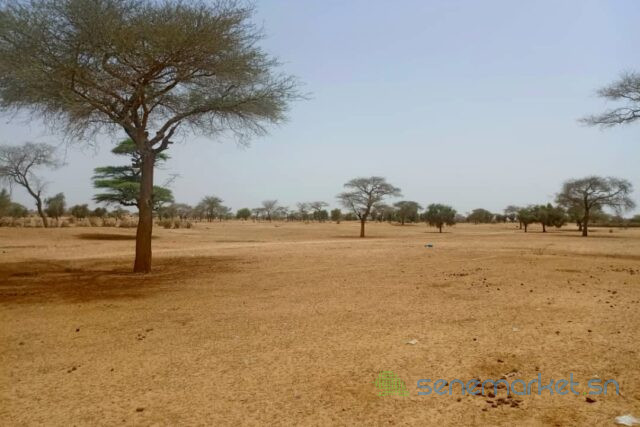 terrain-de-244-hectares-vers-saghata-big-0