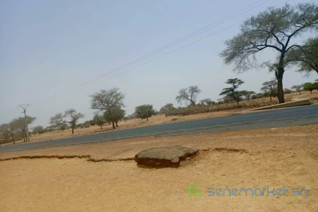 terrain-de-244-hectares-vers-saghata-big-2