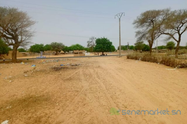 terrain-de-244-hectares-vers-saghata-big-1