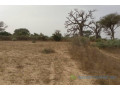 terrain-de-247-hectares-vers-notto-diobass-small-2