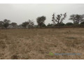 terrain-de-247-hectares-vers-notto-diobass-small-1