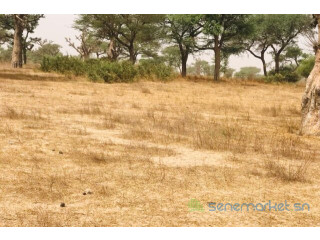 Terrain de 2,47 hectares vers Thiénaba