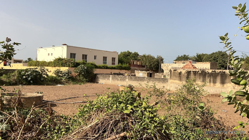 terrain-700m2-a-vendre-a-saly-senegal-big-1