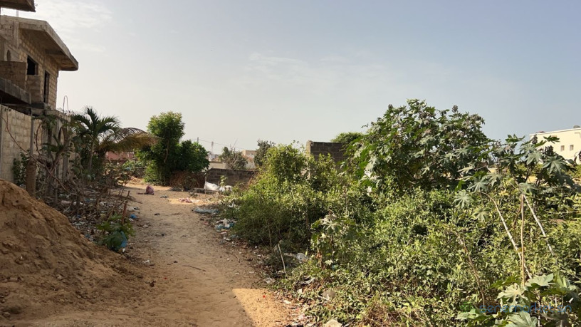 terrain-700m2-a-vendre-a-saly-senegal-big-4