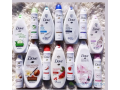 pack-dove-small-1