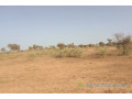 terrain-de-25-hectares-vers-thienaba-small-1