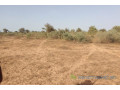 terrain-de-25-hectares-vers-thienaba-small-0