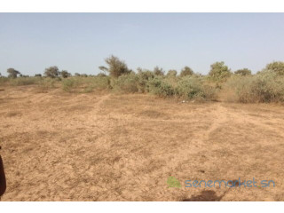Terrain de 2,5 hectares vers Thiénaba