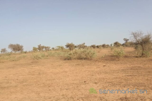 terrain-de-25-hectares-vers-thienaba-big-1