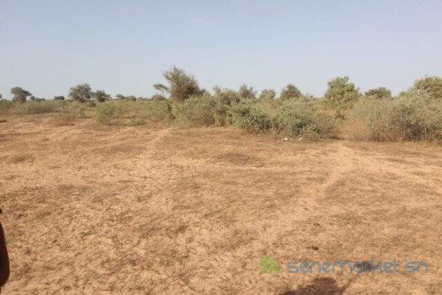 terrain-de-25-hectares-vers-thienaba-big-0