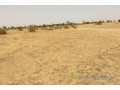 terrain-de-253-hectares-vers-tataguine-small-1