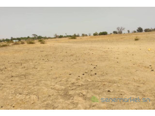 Terrain de 2,53 hectares vers Tataguine