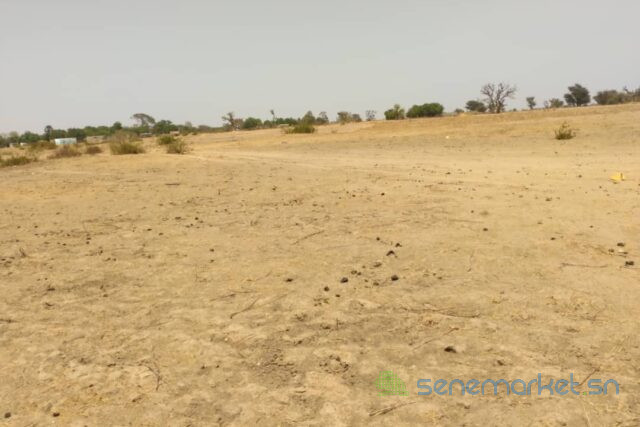 terrain-de-253-hectares-vers-tataguine-big-0