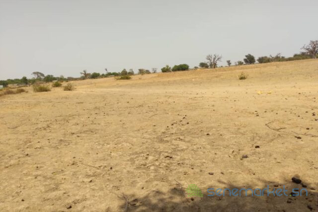 terrain-de-253-hectares-vers-tataguine-big-2