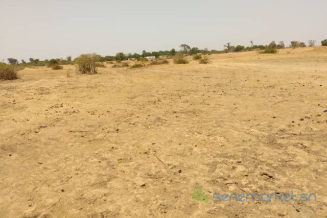 terrain-de-253-hectares-vers-tataguine-big-1