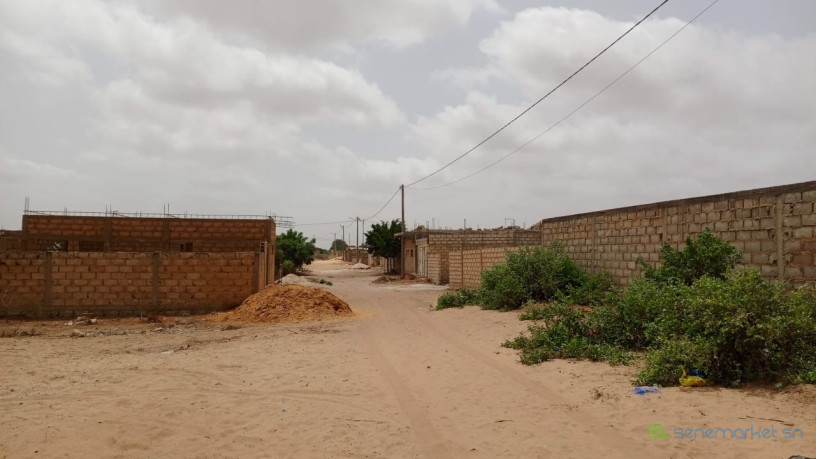 terrain-de-330-metres-carres-a-vendre-a-malicounda-est-big-4