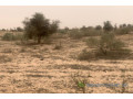 terrain-de-259-hectares-vers-kebemer-small-1