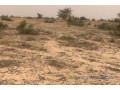 terrain-de-259-hectares-vers-kebemer-small-2