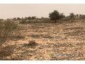 terrain-de-259-hectares-vers-kebemer-small-0