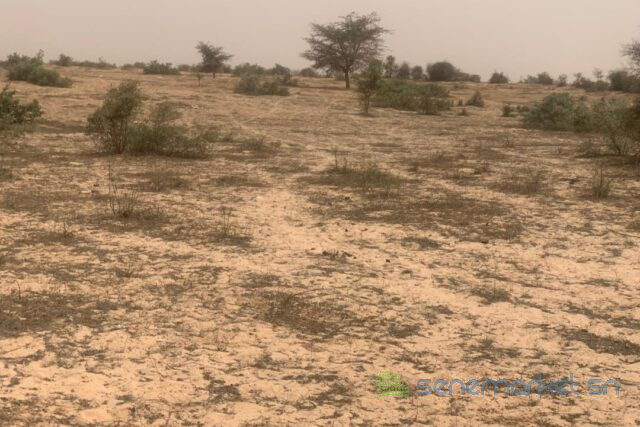 terrain-de-259-hectares-vers-kebemer-big-2