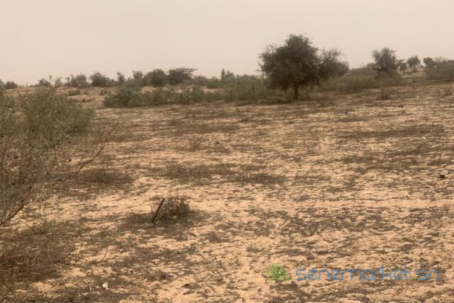 terrain-de-259-hectares-vers-kebemer-big-0
