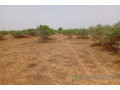 terrain-de-264-hectares-vers-touba-toul-small-2
