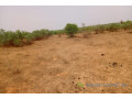 terrain-de-264-hectares-vers-touba-toul-small-0