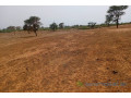 terrain-de-265-hectares-vers-touba-toul-small-2