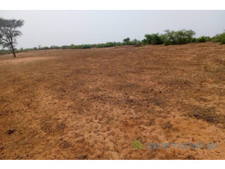 Terrain de 2,65 hectares vers Touba Toul