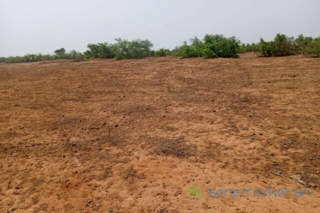 terrain-de-265-hectares-vers-touba-toul-big-1