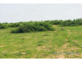 terrain-de-28-hectares-vers-notto-diobass-small-0