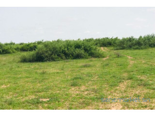 Terrain de 2,8 hectares vers Notto Diobass
