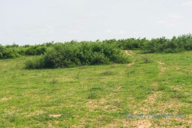 terrain-de-28-hectares-vers-notto-diobass-big-0