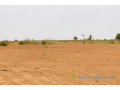 terrain-de-285-hectares-vers-notto-diobass-small-0