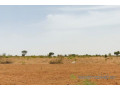 terrain-de-285-hectares-vers-notto-diobass-small-1