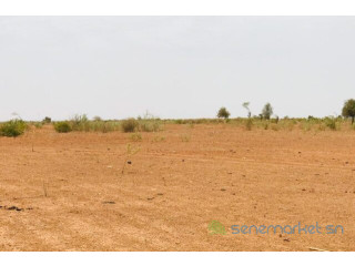Terrain de 2,85 hectares vers Notto Diobass