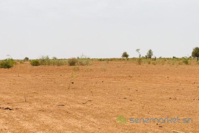 terrain-de-285-hectares-vers-notto-diobass-big-2