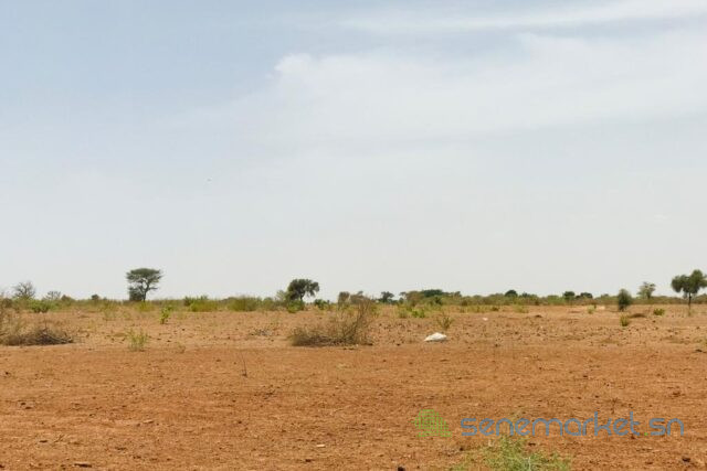 terrain-de-285-hectares-vers-notto-diobass-big-1
