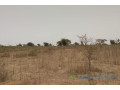 terrain-de-285-hectares-vers-sindia-small-1