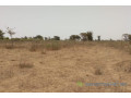 terrain-de-285-hectares-vers-sindia-small-2