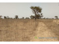 terrain-de-285-hectares-vers-sindia-small-0