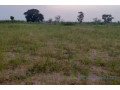 terrain-de-20-hectares-vers-sandiara-small-0
