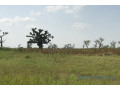terrain-de-20-hectares-vers-sessene-small-2