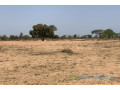 terrain-de-2394-hectares-vers-touba-toul-small-0