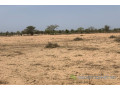 terrain-de-2394-hectares-vers-touba-toul-small-1