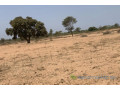 terrain-de-2394-hectares-vers-touba-toul-small-2