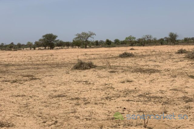 terrain-de-2394-hectares-vers-touba-toul-big-1