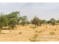 terrain-de-3-hectares-vers-koul-small-2