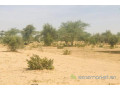 terrain-de-3-hectares-vers-koul-small-1