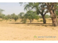 terrain-de-3-hectares-vers-koul-small-0